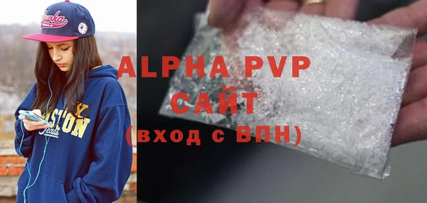 соль ск Новозыбков