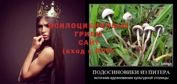ПСИЛОЦИБИНОВЫЕ ГРИБЫ Новодвинск