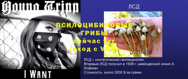 кокс Новокубанск