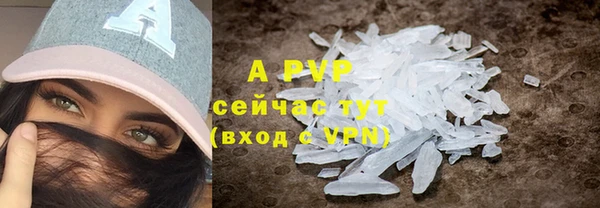 соль ск Новозыбков